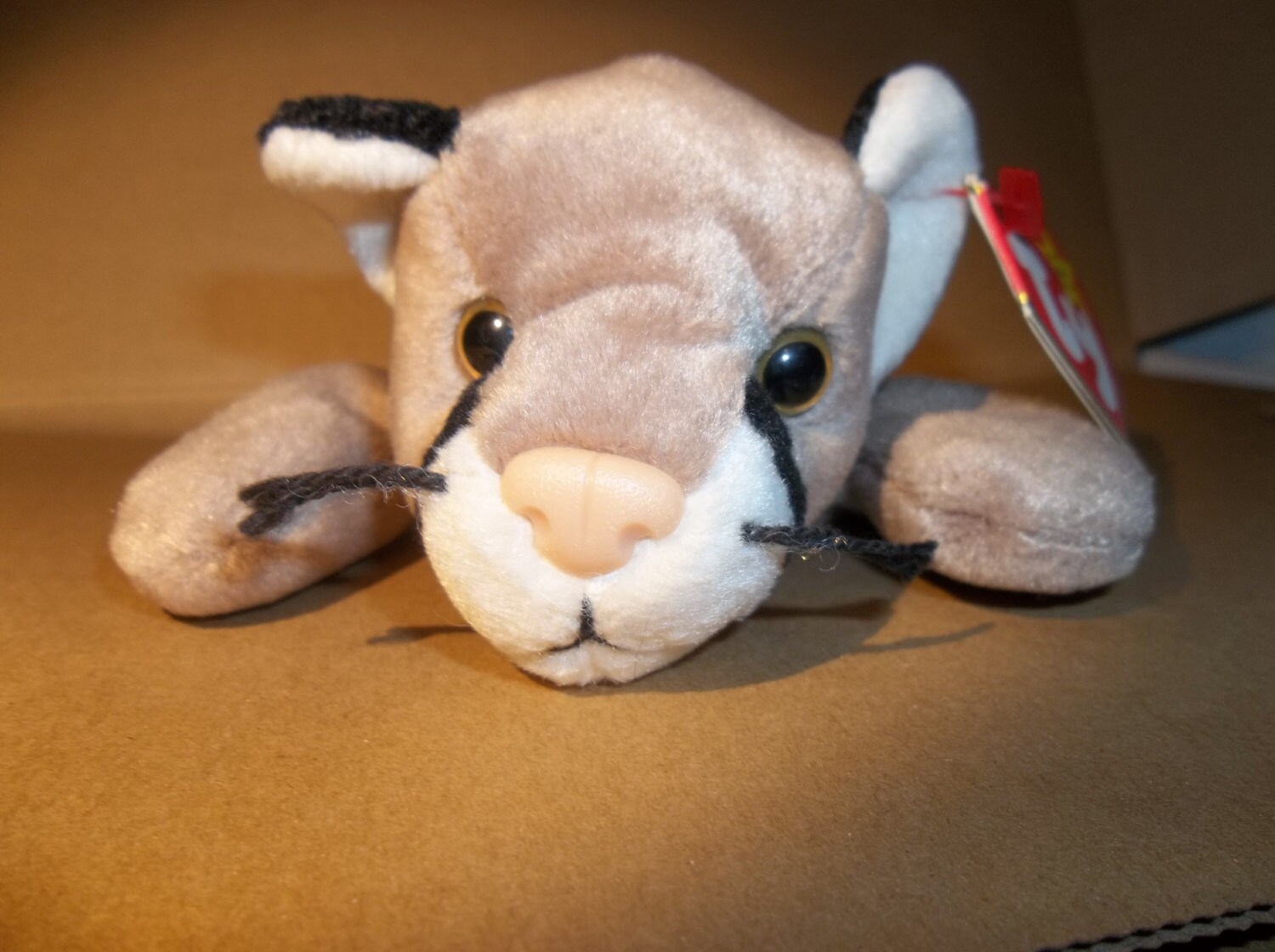 Canyon the Tiger Ty Beanie Baby Original 12A by AmysUglyThings