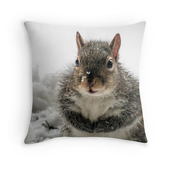 squirrel throw pillow