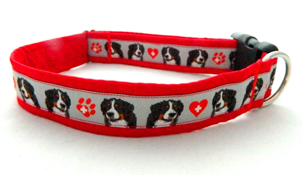Amazing red collars for Bernese Mountain Dog in pattern