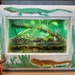 Classic Wooden Ant Farm for Scientist Boys Girls birthday
