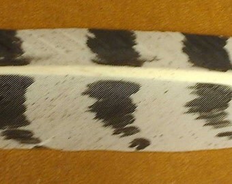Imitation Snowy Owl Feather