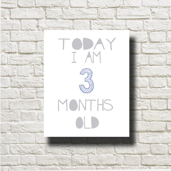 items-similar-to-today-i-am-3-months-old-printable-instant-download