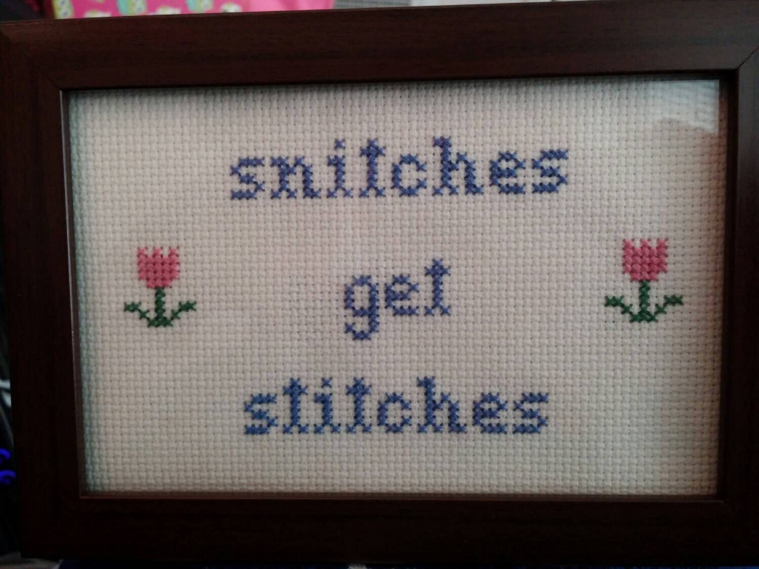 Snitches Get Stitches Cross Stitch Framed by StitchesBeKrazy