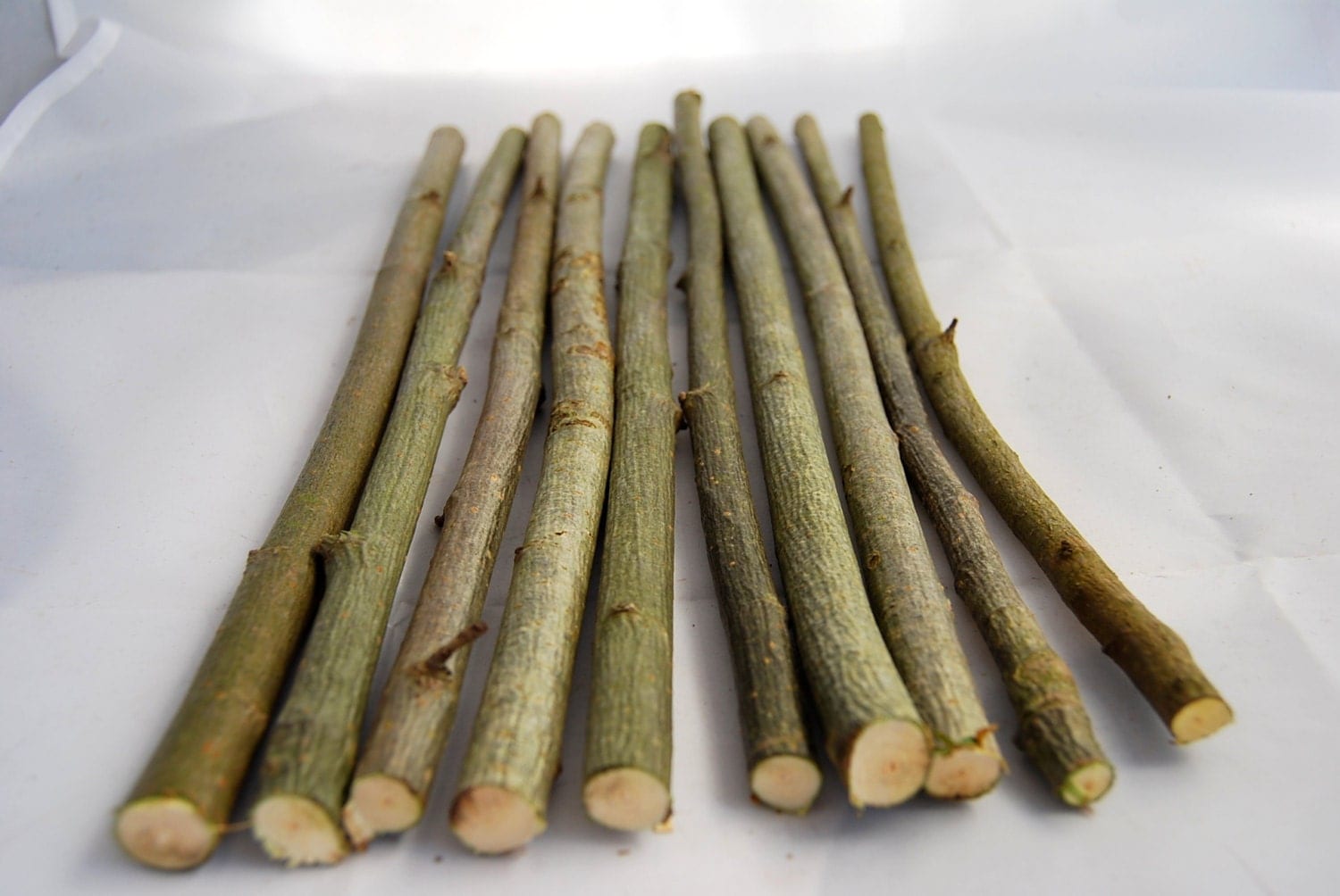 Dried straight wood sticks for flower decor craft projects