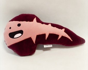 stuffed kidney