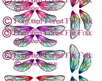 Double fairy wings in assorted colours