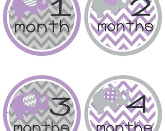 Baby Milestone Stickers - Baby Month Stickers - Purple Elephants (320)