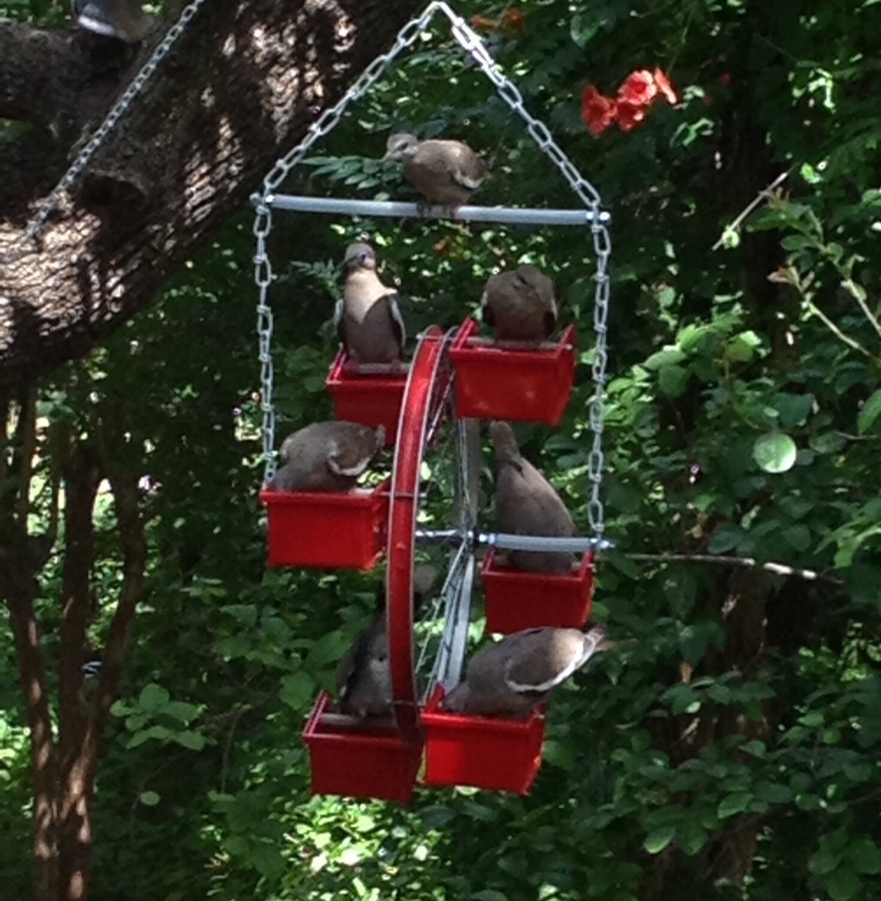 Ferris Wheel bird feeder 20 diameter 15 by NaturesWindowShop