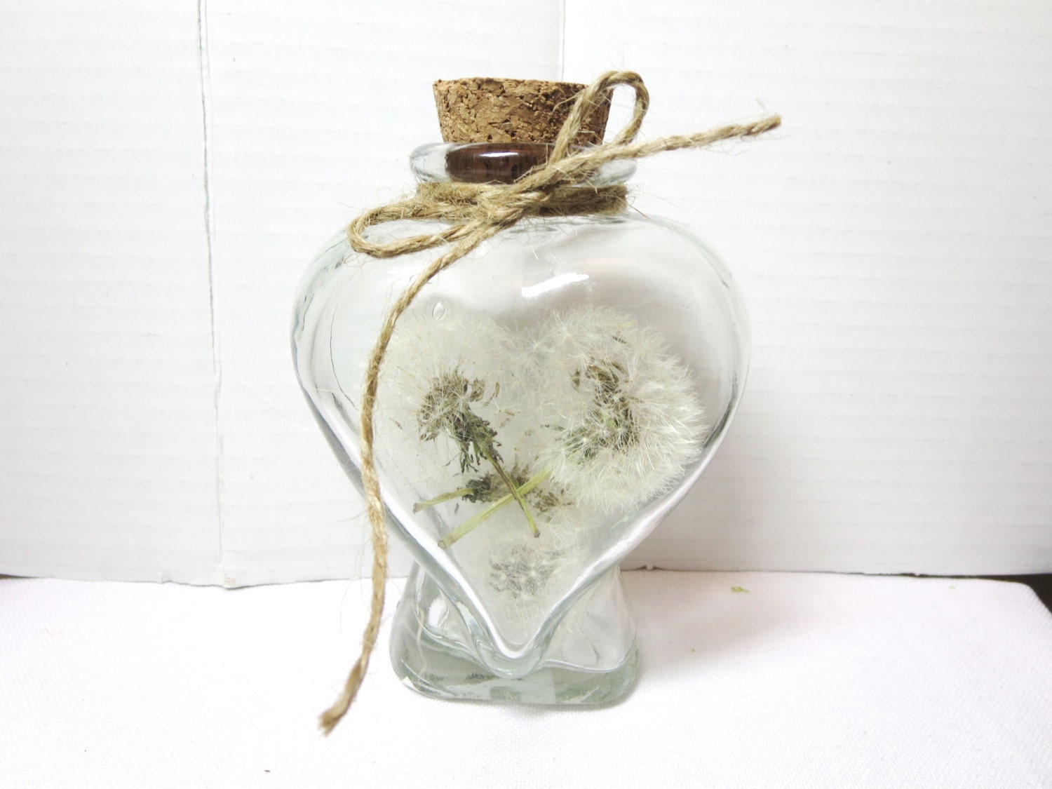 Sale Dandelion gift Dandelion in the jar by Dandelionandwish