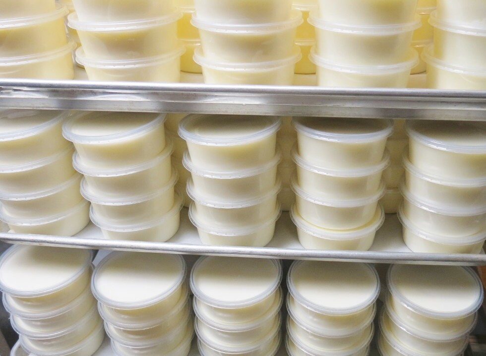 Tallow / 10 Pounds Pure Tallow Rendered Fresh From Grass Fed