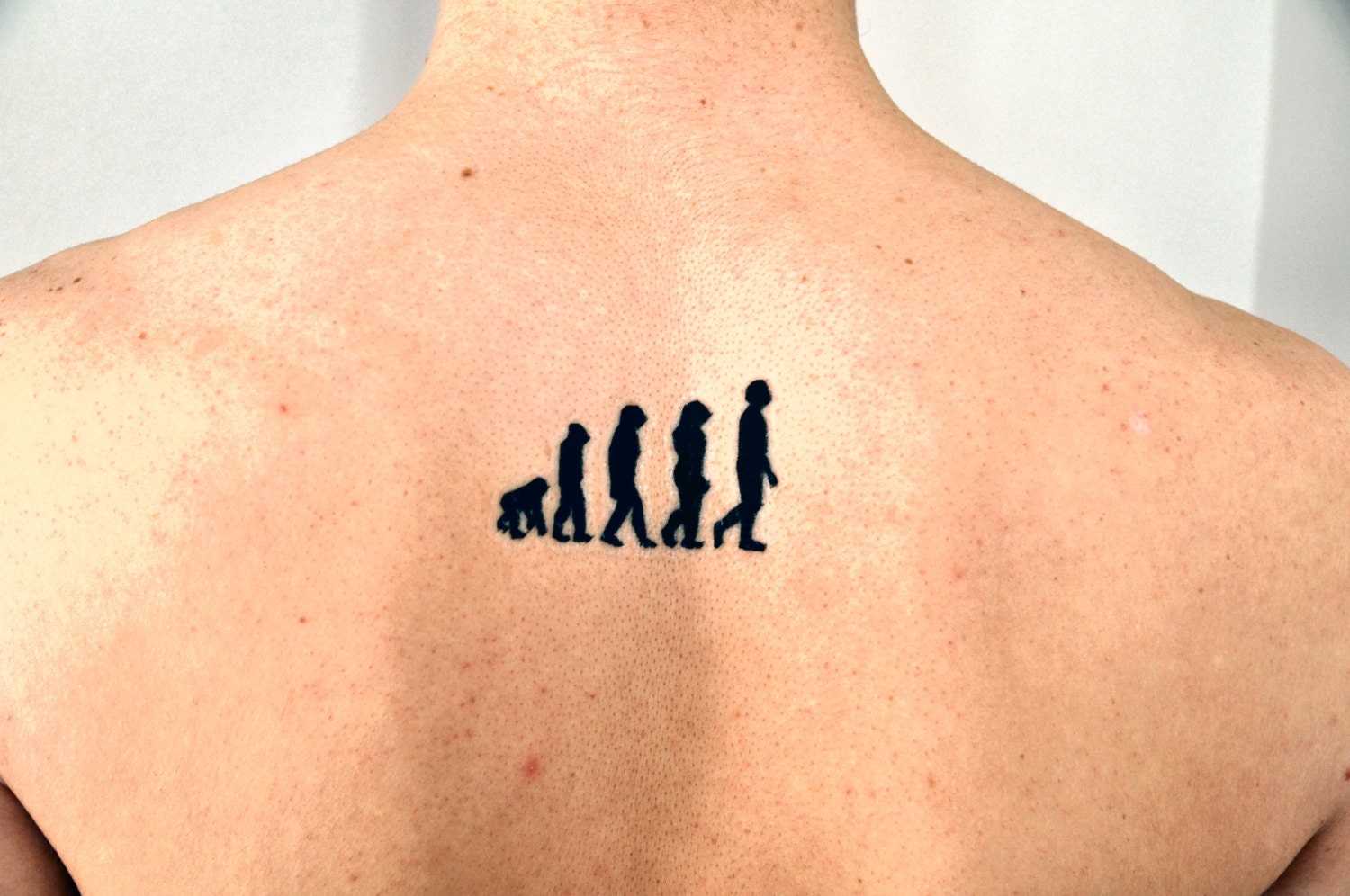 Evolution Temporary Tattoo Hipster by temporarytattooyou 