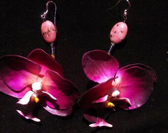 Passion Vanda Orchid Earring with Accent