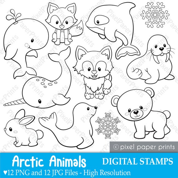free clip art arctic animals - photo #5