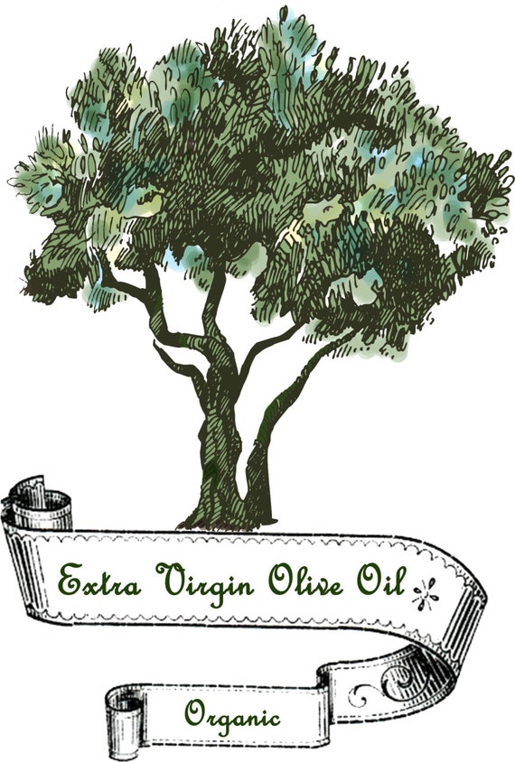 100% Egyptian Cotton Flour Sack Kitchen Dish Towel Olive Tree