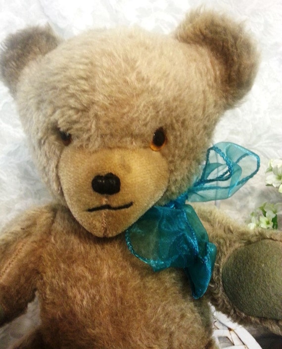 pedigree teddy bear