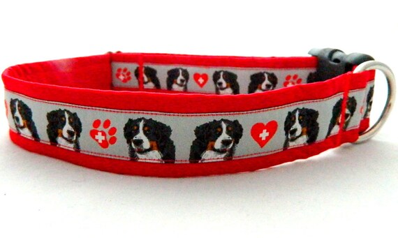 Amazing red collars for Bernese Mountain Dog in pattern