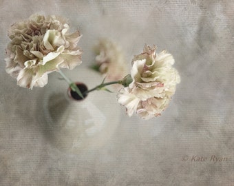 Flower Photography, Neutral Decor, Carnations, Cream Beige Tones, Pastel Floral Print, Dreamy, Bedroom Decor, Bath Decor, Spa Decor, Office