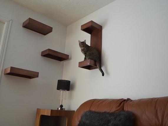 кот на полке cat on the shelf загрузить