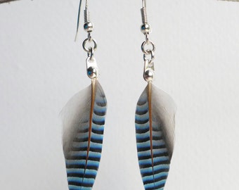 Jay Wing Feather Dangle Earrings, blue striped feather earrings, jewellery for her