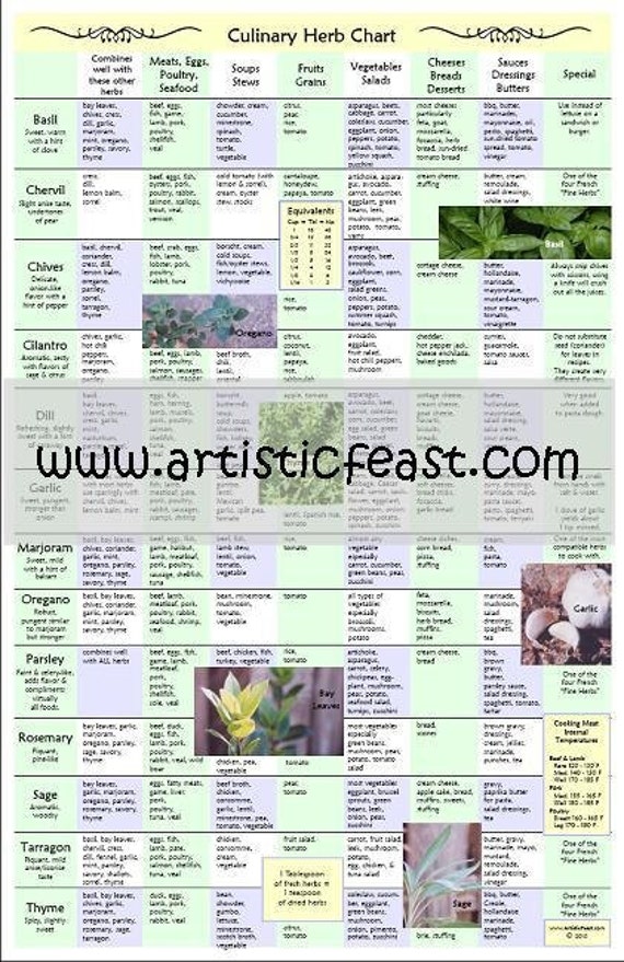 culinary-herb-chart