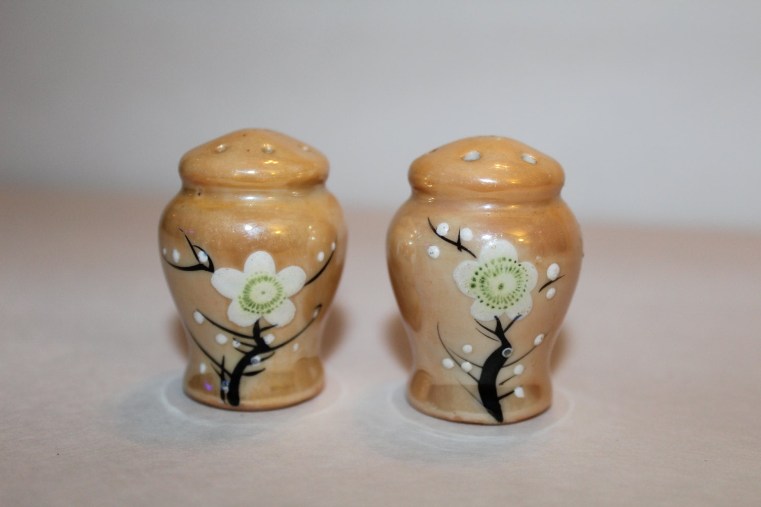 Japan Painted Flower Salt and Pepper Shaker Set Haute Juice