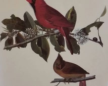 Popular items for cardinal print on Etsy