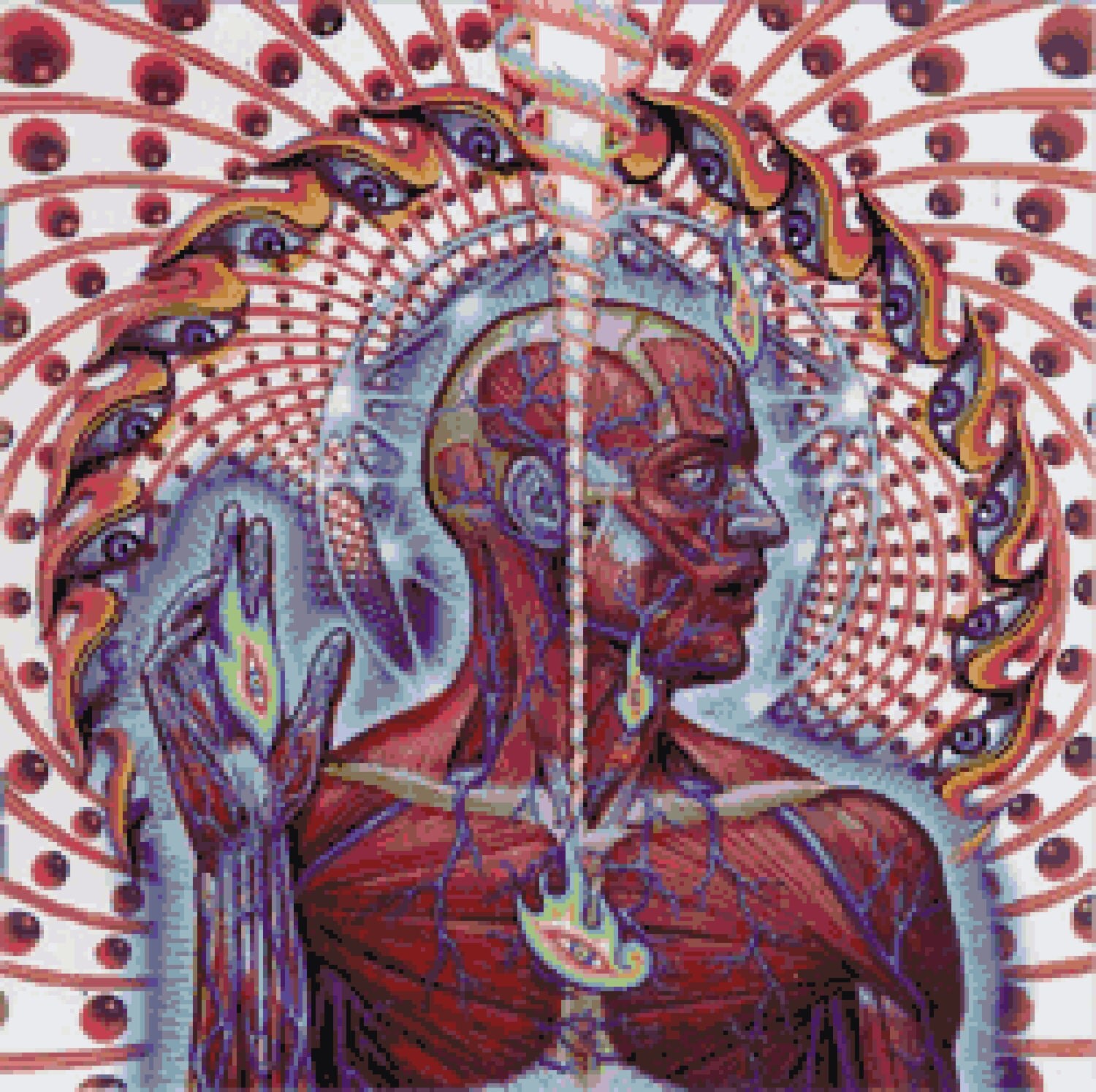 Tool - Lateralus - Amazoncom Music