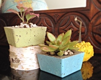 Planters/2 Urban modern planters/concrete square planters/desk organizer/minimalist home decor