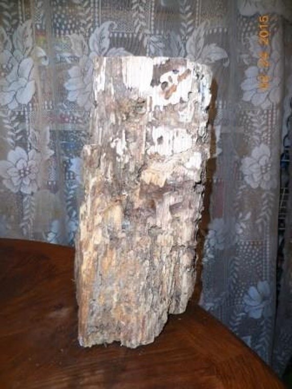 Punk wood sculpture all natural finish by