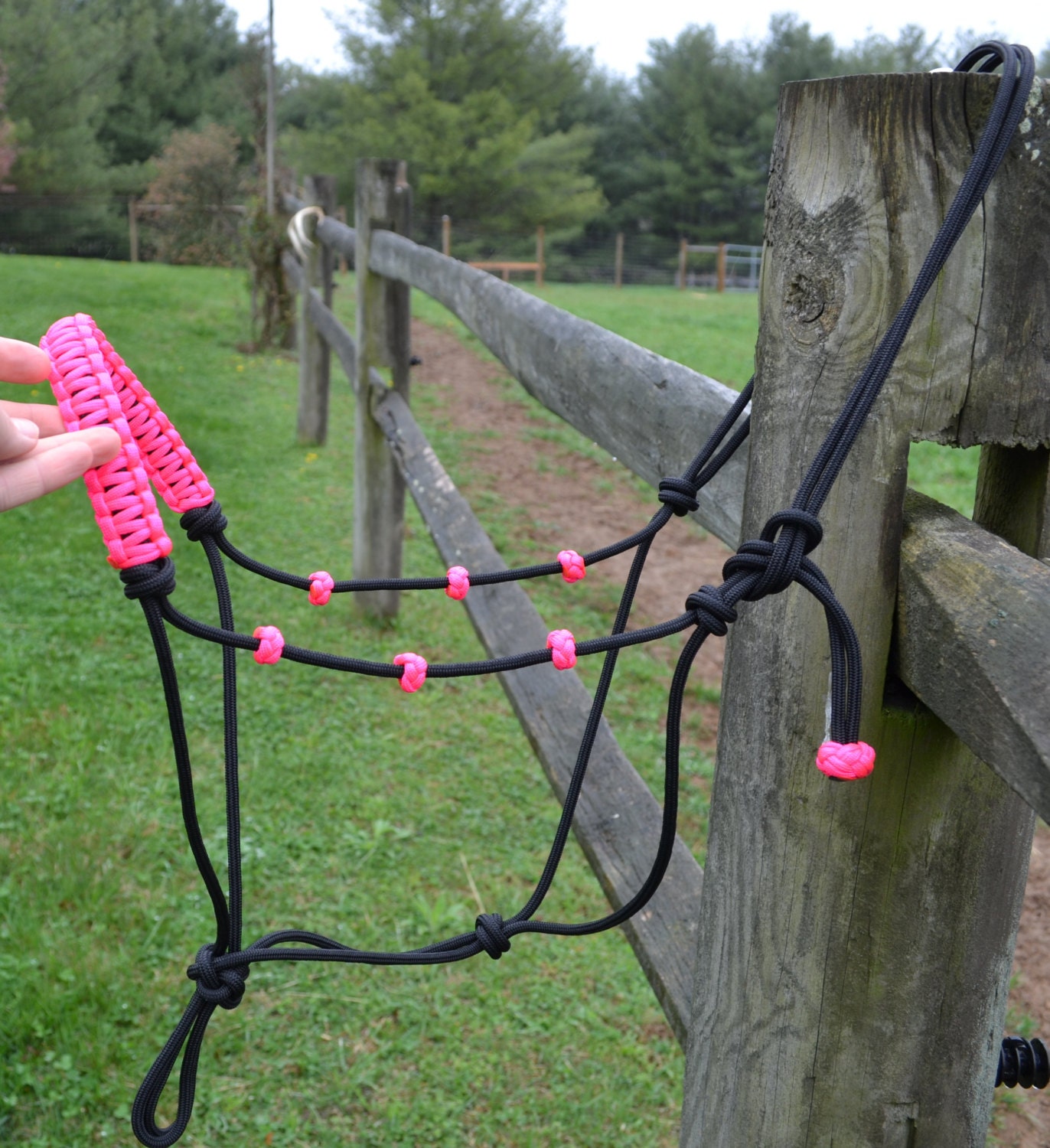 Hot pink and black rope halter horse by PalominoPonyRopeTack