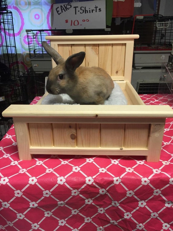 Bunny Rabbit / Small Pet Bed by BunsBedsAndBeyond on Etsy