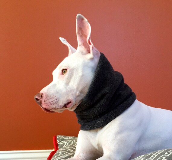 Double layer Dog Neck Warmer with Hi Vis option