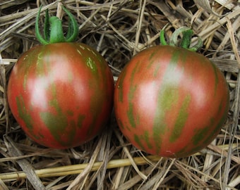 Violet Jasper Heirloom Tomato Seeds, Naturally Grown in the Pacific NW