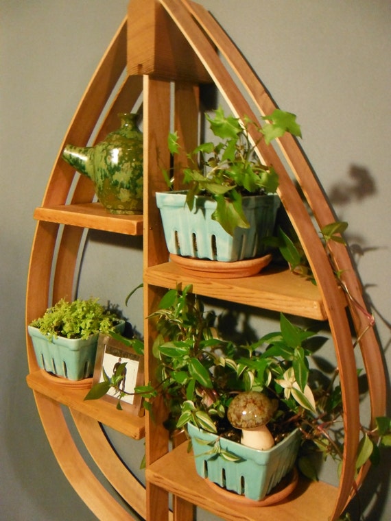 Cedar Bentwood Teardrop Wall Shelf by TheMaineWoods on Etsy