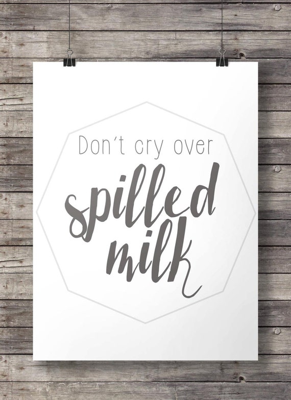 Do not cry over spilt milk essay