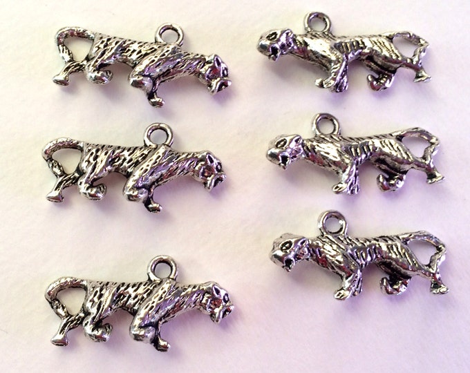 Set of 6 Pewter Tiger Charms