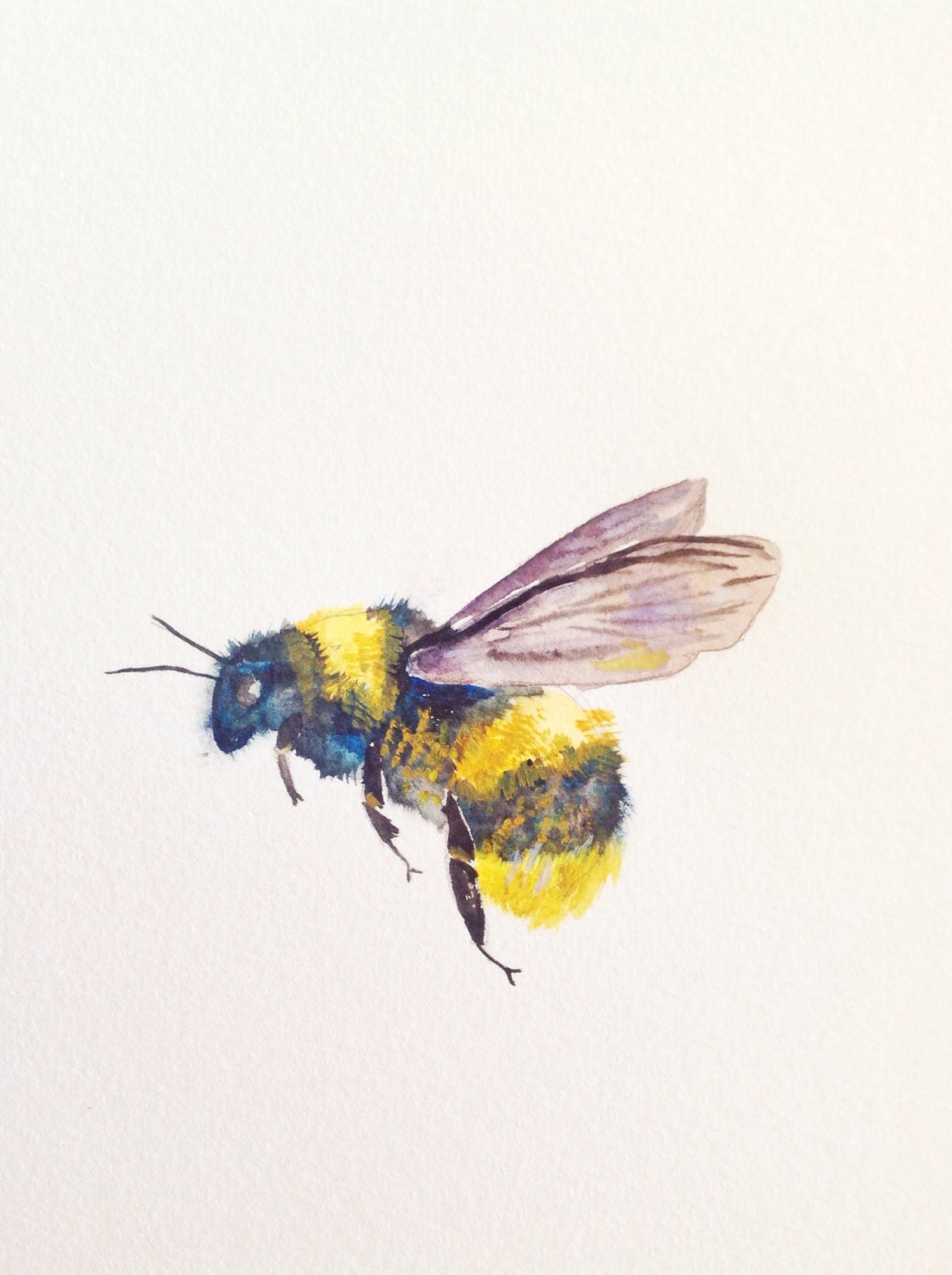 Watercolor Painting Original Painting Bumble Bee by WoodPigeon