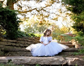 Cinderella costume FULL LENGTH, princess custom costume 2t Cinderella tutu