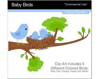 50% OFF SALE - bird clip art digital clipart - Baby Birds - Digital Clip Art