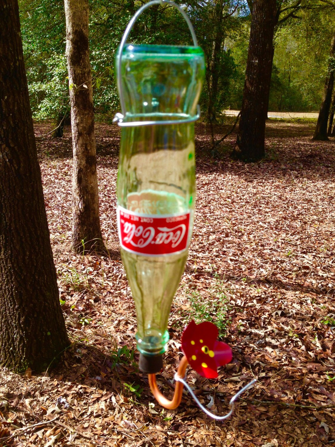Coke bottle hummingbird feeder with perch humming bird