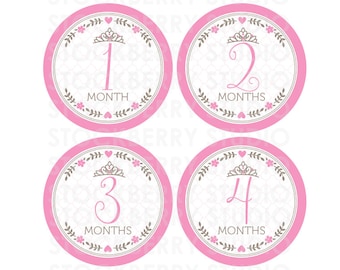 Princess Baby Month Stickers Girl Printable - Pink Baby Monthly Bodysuit Stickers - Iron On Transfer - Baby Month Milestone - Photo Props