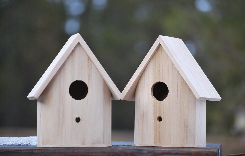 Unfinished wood birdhouses 2 pack