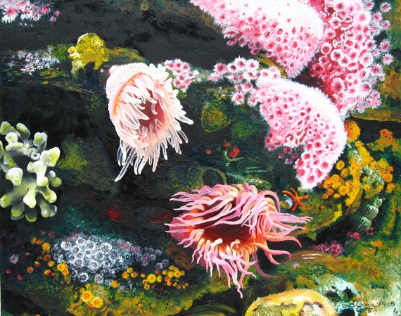 sea anemone original oil painting art print coral by BBArtDesigns
