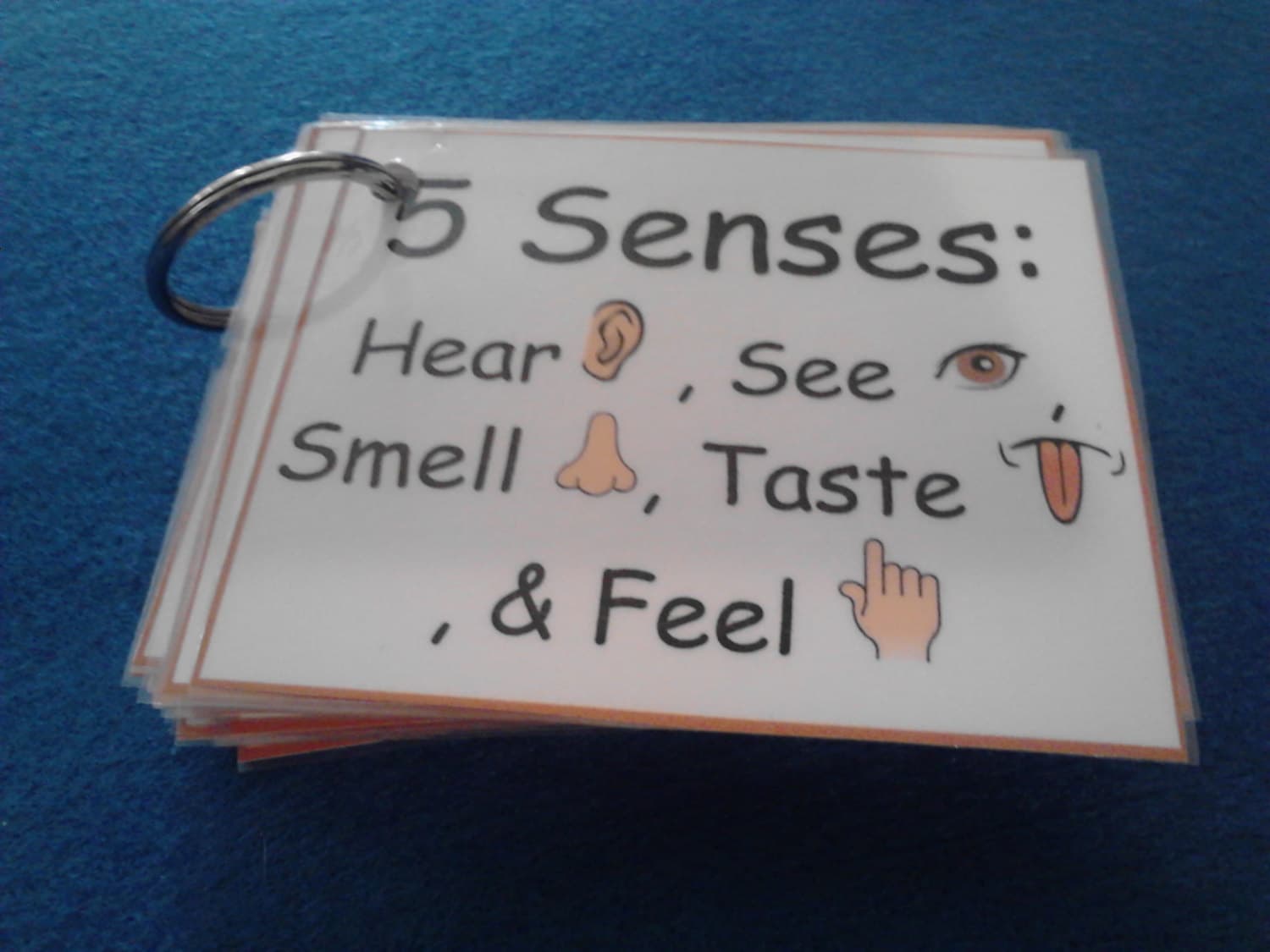 See hear smell taste. Hear see smell taste Touch книжка малышам. Taste smell feel. 5 Senses Flashcards. See hear feel