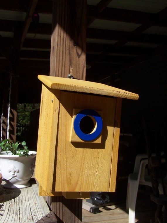 Eastern mountain bluebird nesting box with viewing by cissyberner