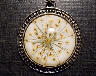 Delicate White Queen Annes Lace Preserved Specimen Necklace