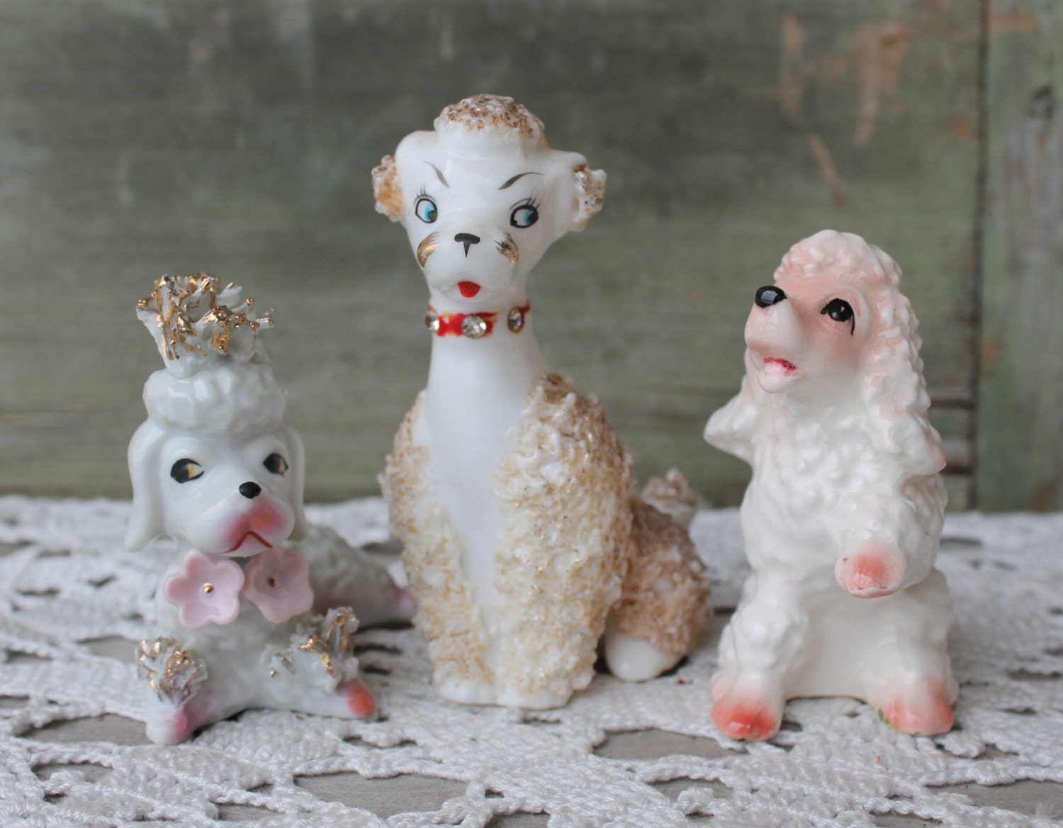 poodle collectables