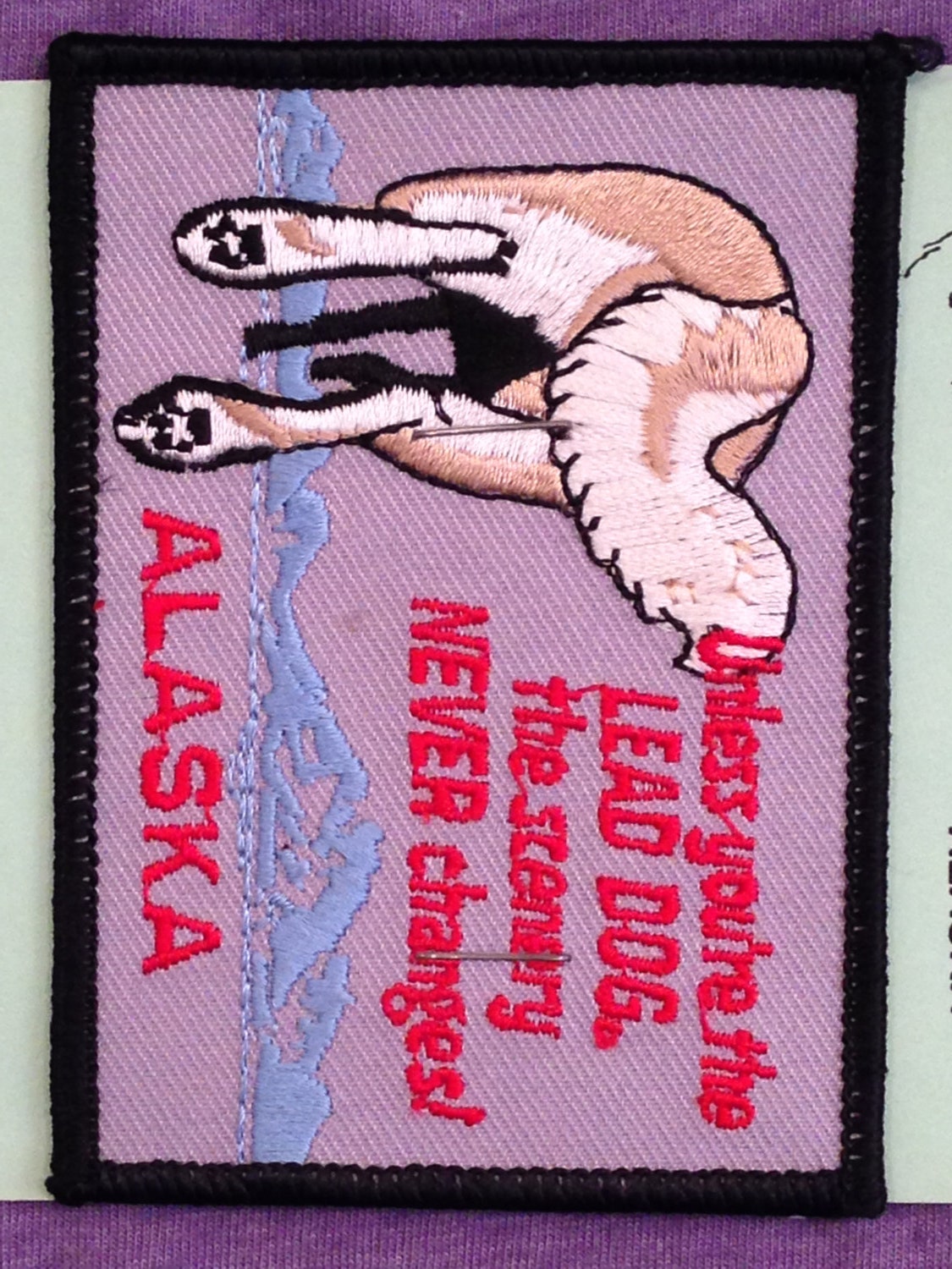 Unless You're the Lead Dog the View Never Changes Alaska