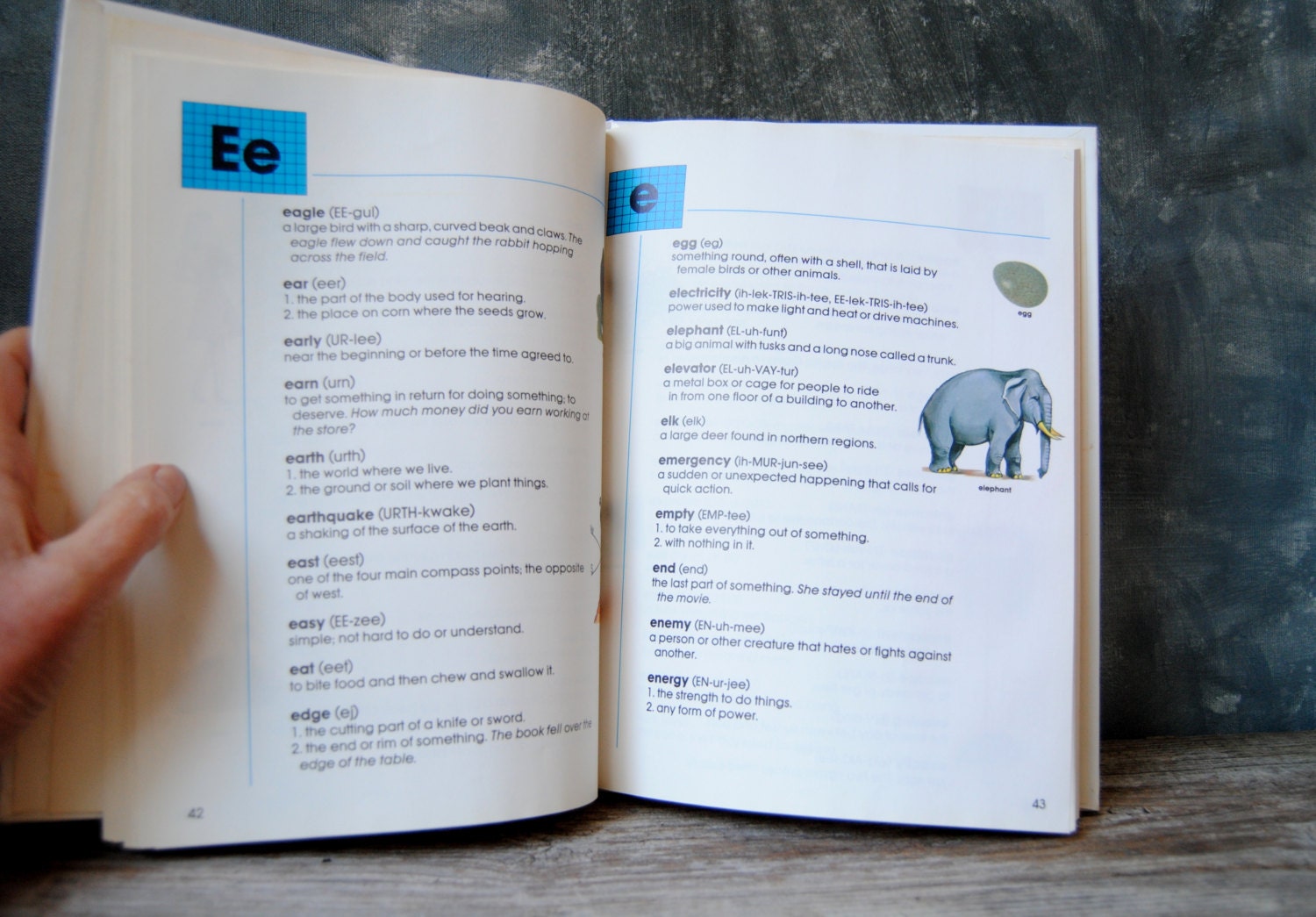 Primary Dictionary Illustrated Dictionary Young