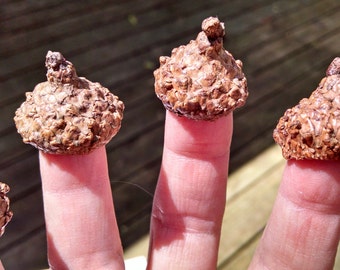 100 Assorted Scarlet Oak Acorn Caps Inside Diameter 5/8-6/8"